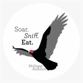 Vulture Png, Transparent Png, Transparent PNG