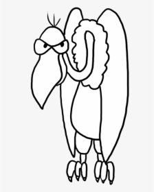 Vulture Sketch, HD Png Download, Transparent PNG