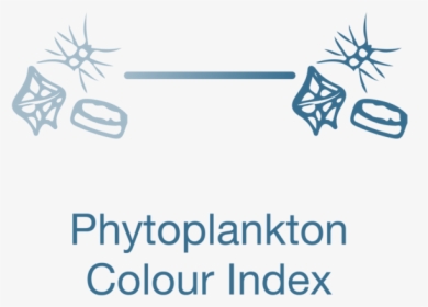 Phytoplankton Colour Index, HD Png Download, Transparent PNG