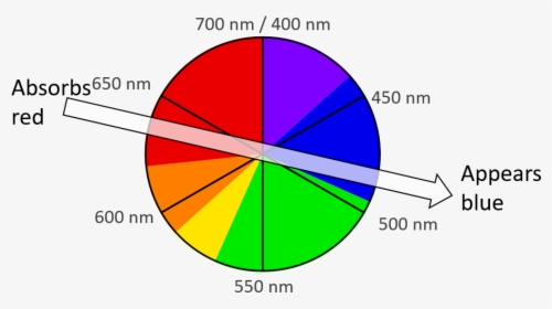 A Color Wheel Accurately Representing The Wavelength, HD Png Download, Transparent PNG