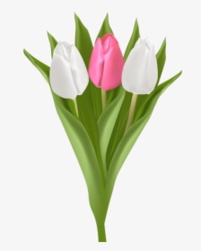 Bouquet Of Yellow Tulips Png Clipart Vector Free, Transparent Png, Transparent PNG