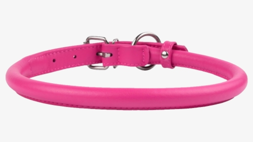 Dog Belt Png, Transparent Png, Transparent PNG