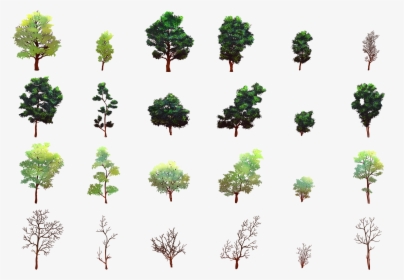 Vegetation Png, Transparent Png, Transparent PNG