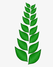Vegetation Png, Transparent Png, Transparent PNG