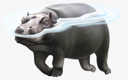 Hippo Png Picture, Transparent Png, Transparent PNG