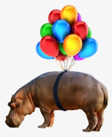 #hippo #nobackground #png #balloon, Transparent Png, Transparent PNG