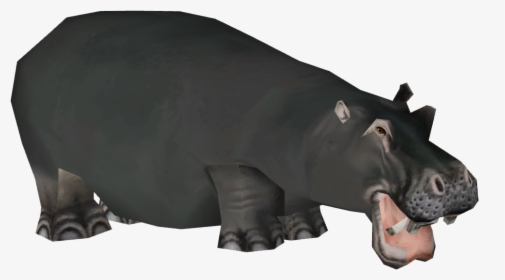 Clip Art Hippopotamus Gorgops, HD Png Download, Transparent PNG