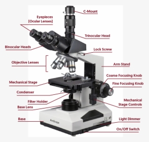 Inclination Joint In Microscope , Png Download, Transparent Png, Transparent PNG