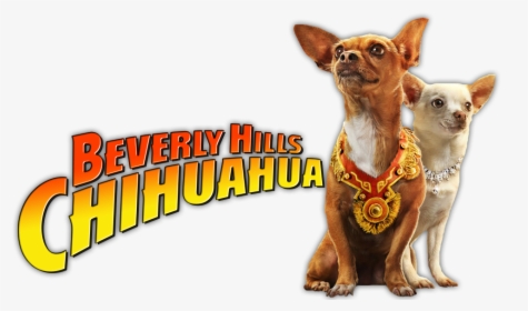 Beverly Hills Chihuahua Image Clipart , Png Download, Transparent Png, Transparent PNG