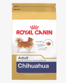 Chihuahua Png, Transparent Png, Transparent PNG