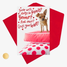 Chihuahua For My Forever Friend Valentine S Day, HD Png Download, Transparent PNG