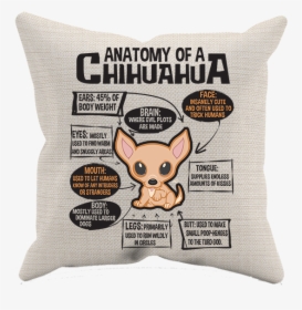 Chihuahua Png, Transparent Png, Transparent PNG