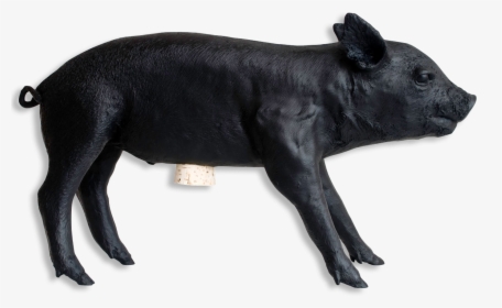 Reality Bank In The Form Of A Pig By Areaware Matte, HD Png Download, Transparent PNG