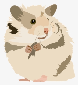 Hamster, Cute, Sweet, Animal, Pet, Rodent, Domestic, HD Png Download, Transparent PNG