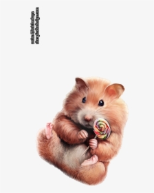 Hamster Png, Transparent Png, Transparent PNG