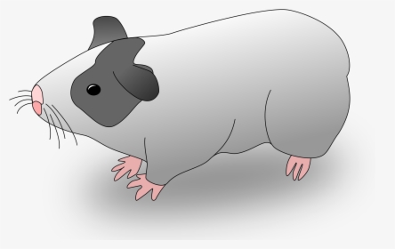 Hamster Clipart Guinea Pig, HD Png Download, Transparent PNG