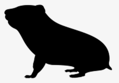 Transparent Hamster Black And White Clipart, HD Png Download, Transparent PNG