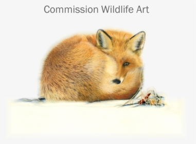 Drawn Hamster Fox, HD Png Download, Transparent PNG