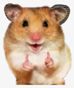 #like#good#kiut #hamster #happy #hi#momos, HD Png Download, Transparent PNG