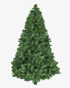 Christmas Tree Png Transparent Image, Png Download, Transparent PNG