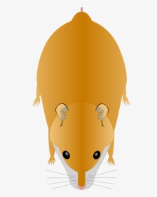 Hamster Png, Transparent Png, Transparent PNG