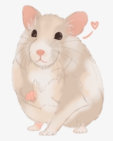 Hamster Clipart Syrian, HD Png Download, Transparent PNG