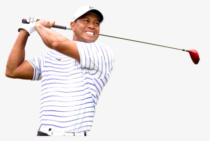 Woods Png, Transparent Png, Transparent PNG