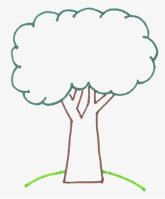 Tree Clipart Outline, HD Png Download, Transparent PNG