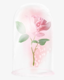 Floating Rose Beauty And The Beast Rose Enchanted Rose, HD Png Download, Transparent PNG