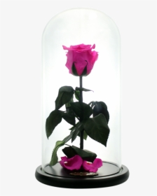 Beauty And The Beast Rose Png, Transparent Png, Transparent PNG