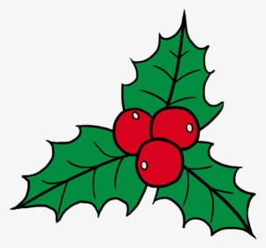 How To Draw Holly, HD Png Download, Transparent PNG