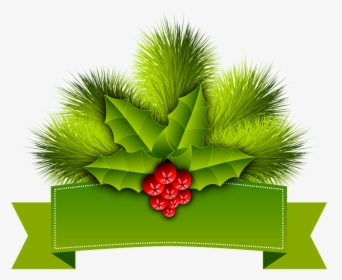 Christmas, Holly, Pinheiro, Ornament, Festive, HD Png Download, Transparent PNG