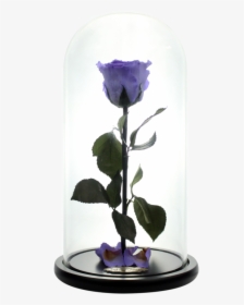 Beauty And The Beast Rose Png, Transparent Png, Transparent PNG