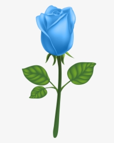 Garden Roses Adobe Illustrator Clip Art Blue Ⓒ, HD Png Download, Transparent PNG