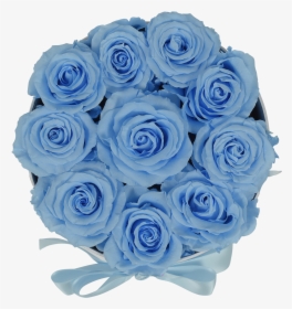 Orb Original Baby Blue Roses   Class Lazyload Lazyload, HD Png Download, Transparent PNG