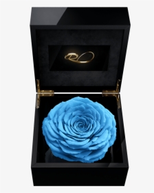 Luxury Video Flower Box Magna With A Xl Preserved Blue, HD Png Download, Transparent PNG
