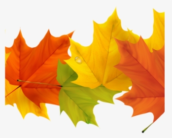 Free Fall Leaf Clip Art 19 Free Graphic Free Fall Leaves, HD Png Download, Transparent PNG