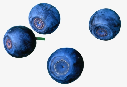 Blueberries, HD Png Download, Transparent PNG