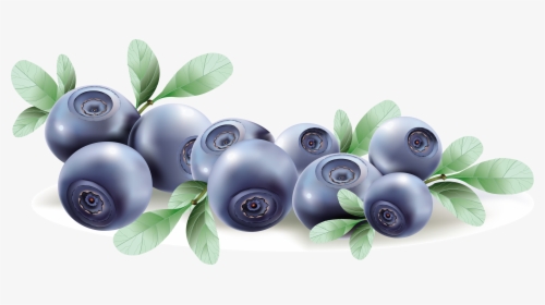 Blueberries Png, Transparent Png, Transparent PNG