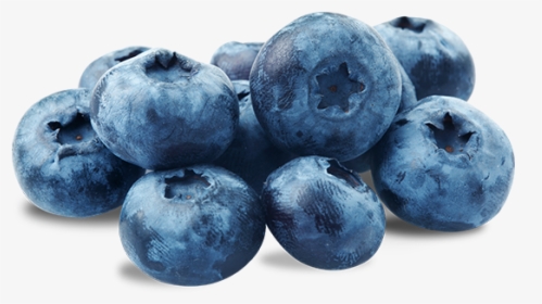 Blueberries Png, Transparent Png, Transparent PNG