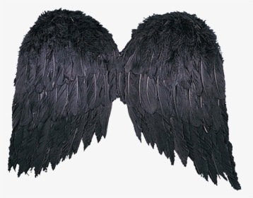 Black Wings Png, Transparent Png, Transparent PNG