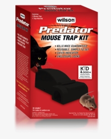 Transparent Mouse Animal Png, Png Download, Transparent PNG