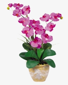 Orchid Double Stem Phalaenopsis Silk Orchid Arrangement, HD Png Download, Transparent PNG