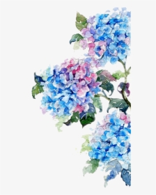 Watercolor Painting Flower Drawing Watercolor Flowers, HD Png Download, Transparent PNG