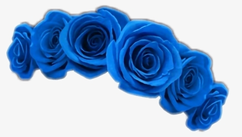 transparent blue flower crown