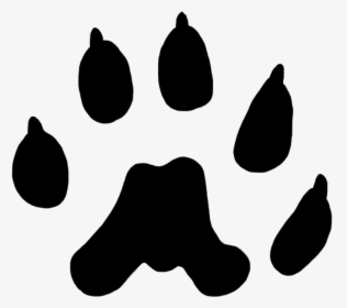 Weasel Paw Print 12 Mm, HD Png Download, Transparent PNG