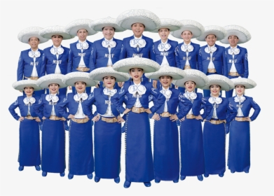 Picture, HD Png Download, Transparent PNG