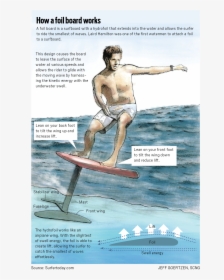 Surfer Png, Transparent Png, Transparent PNG