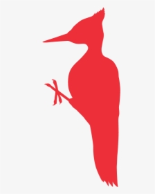 Big Bird Png, Transparent Png, Transparent PNG