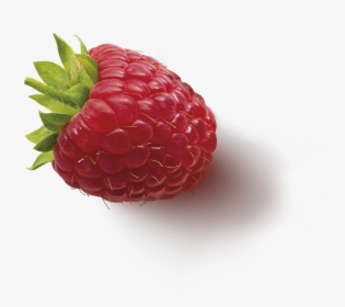 Fruitinfusion Forestfruit Ingredient2 Raspberry, HD Png Download, Transparent PNG